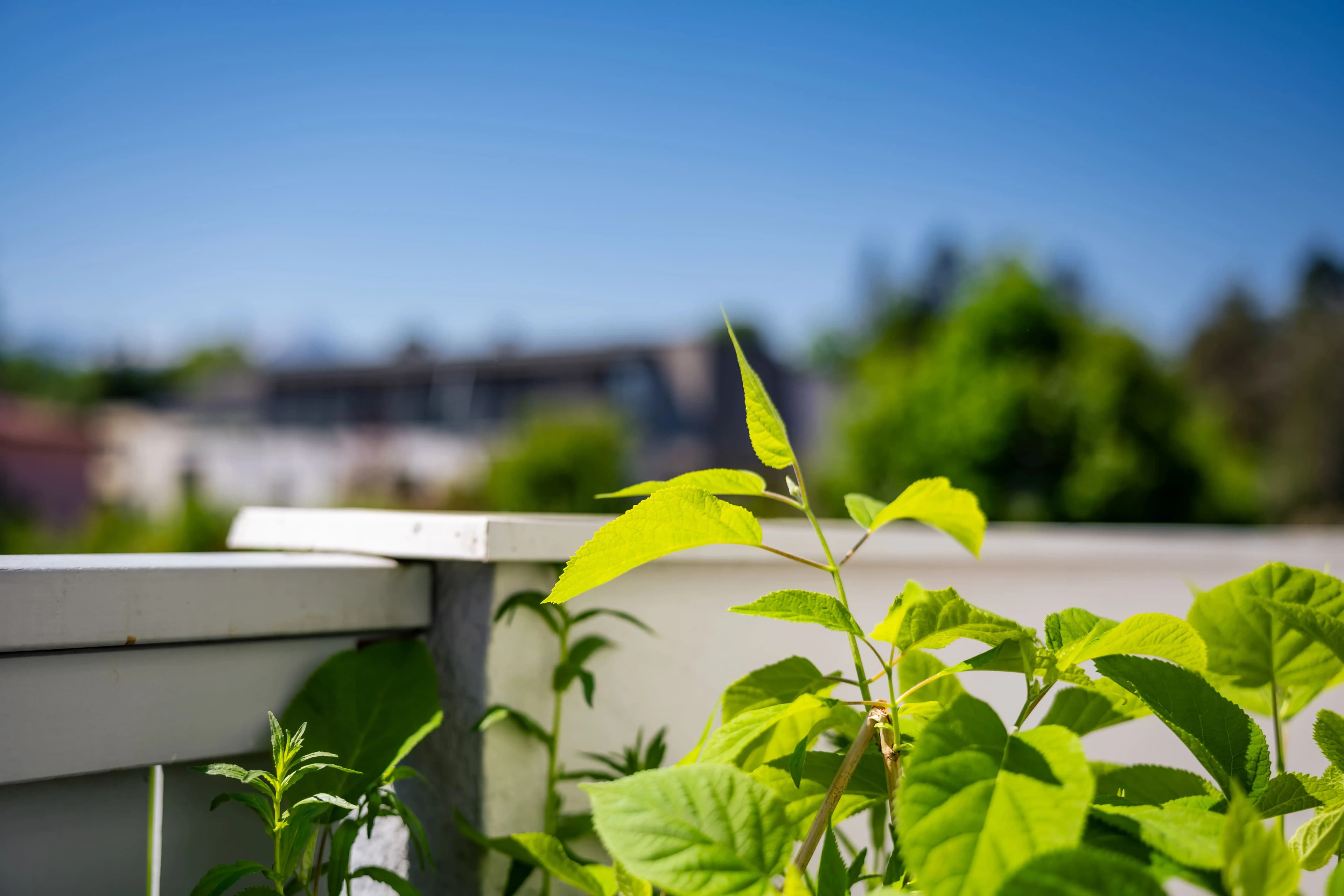 Preiswerter Familienurlaub in Velden am Wörthersee